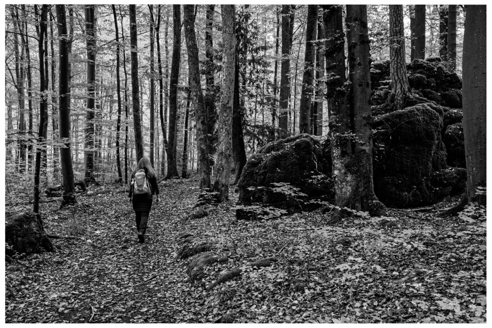 Person mit Rucksack wandert auf Waldweg, umgeben von Bäumen und Felsen, Schwarzweißbild.