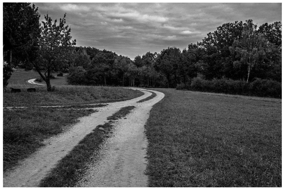 Gewundener Schotterweg durch verlassene Landschaft mit Gras und Bäumen unter bewölktem Himmel.
