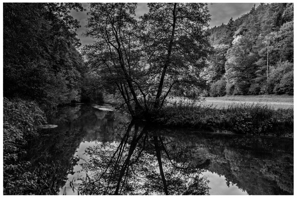 Schwarzweißfoto eines Flusses mit Baum und bewaldeten Hügeln im Hintergrund.