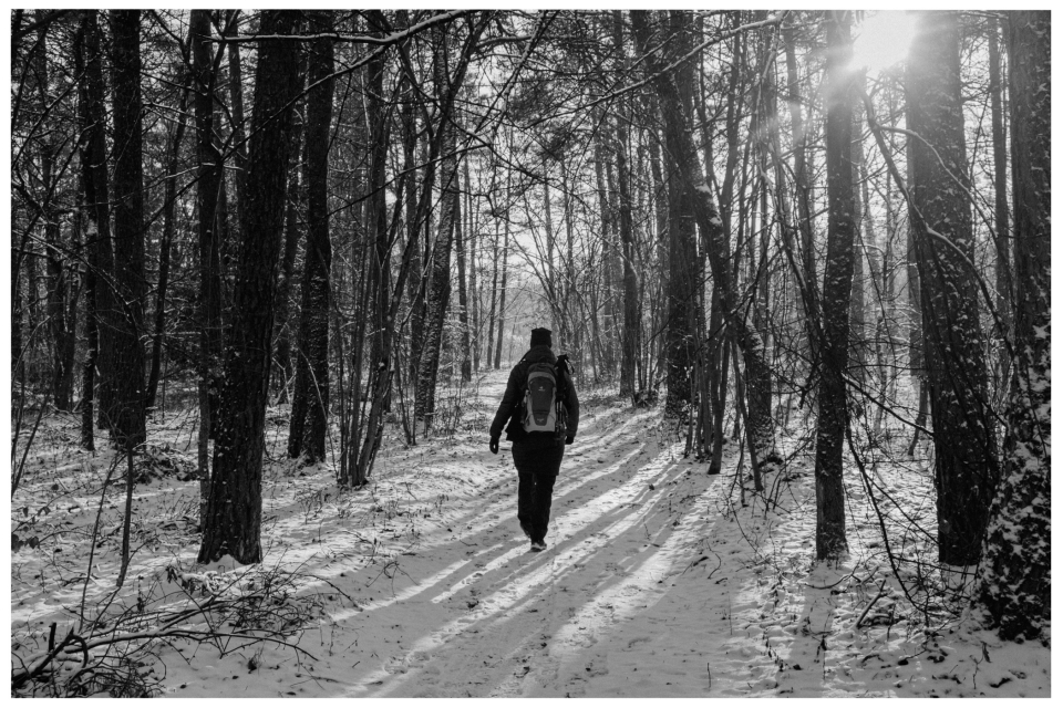 Person wandert mit Rucksack auf schneebedecktem Waldweg, Sonnenstrahlen durch Bäume.