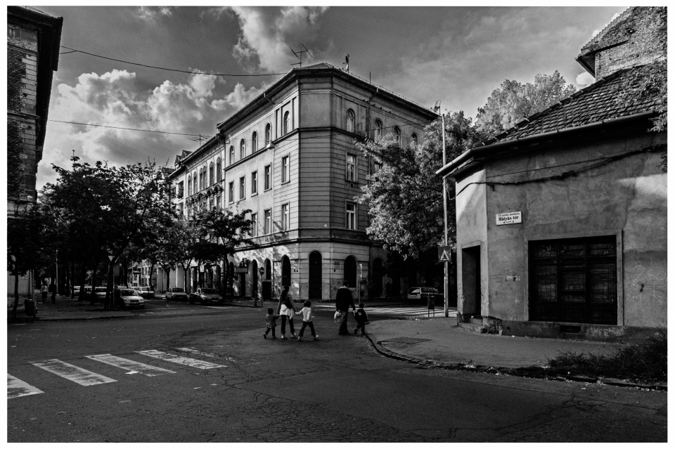 Städtische Straßenecke mit großem Eckgebäude, Zebrastreifen, Autos und Bäumen.