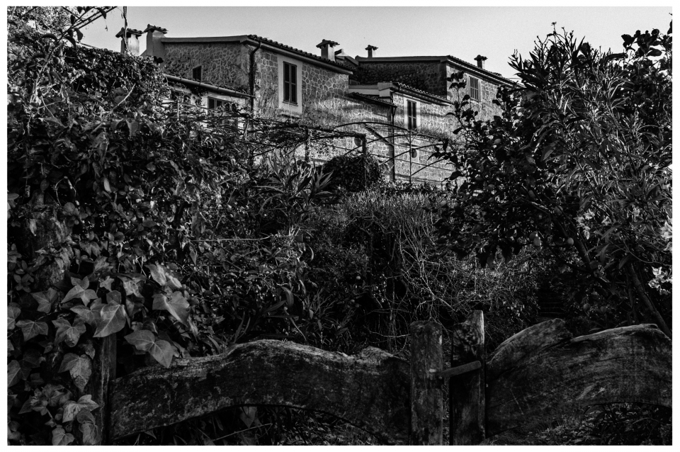 Steinernes Gebäude, Dachziegel, dichte Pflanzen und Holzzaun, Schwarzweiß, ländliche Szene.