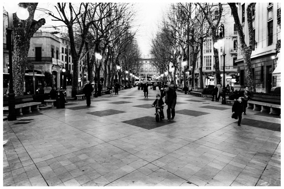 Breiter, baumgesäumter Gehweg mit Fußgängern in einer Stadt, beleuchtet von Straßenlaternen.