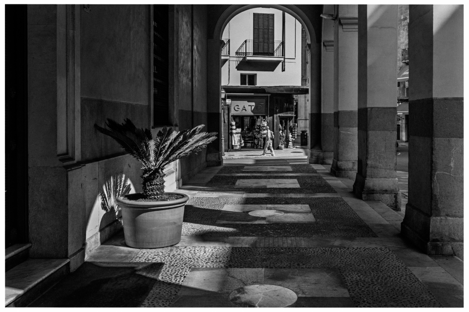 Arkadenpassage mit Topfpflanze, Geschäft „GATO“ und Person, Schattenspiele auf dem Boden.