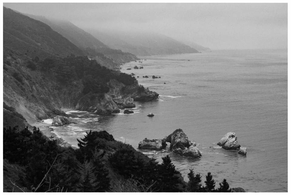 Küstenlinie mit nebligen Klippen, Bäumen und Felsen im Meer unter bedecktem Himmel.