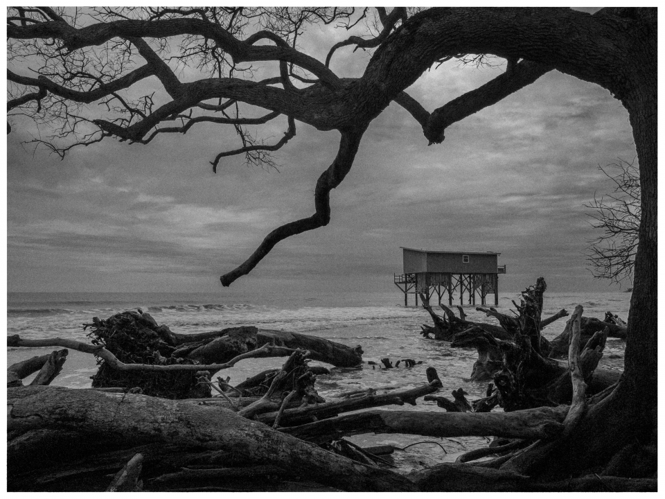 Einsames Stilt-Haus am Meer mit Baumstämmen und kahlen Ästen unter bewölktem Himmel.