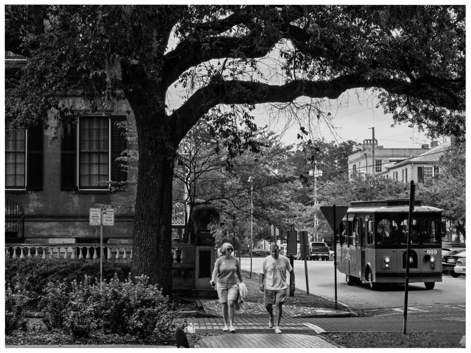 Straße mit großen Bäumen, Gehweg mit zwei Spaziergängern, Straßenbahn, alte Gebäude im Hintergrund.