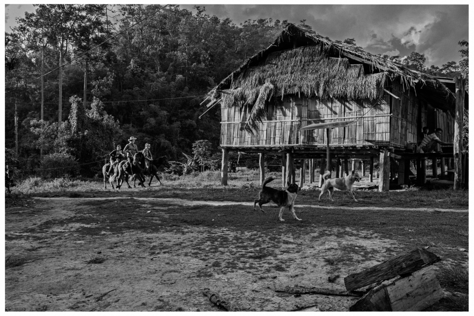 Häuser auf Stelzen, Menschen auf Pferden, Hunde laufen, von Bäumen umgeben.