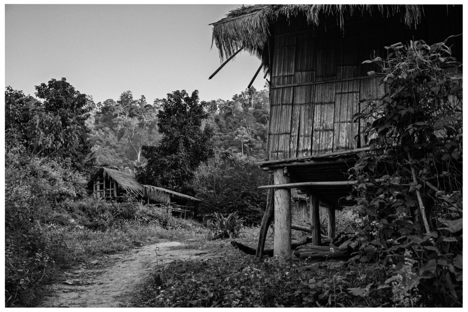 Bambushäuser mit Strohdächern in bewaldeter Umgebung, Weg durch Vegetation, Bäume, Büsche.