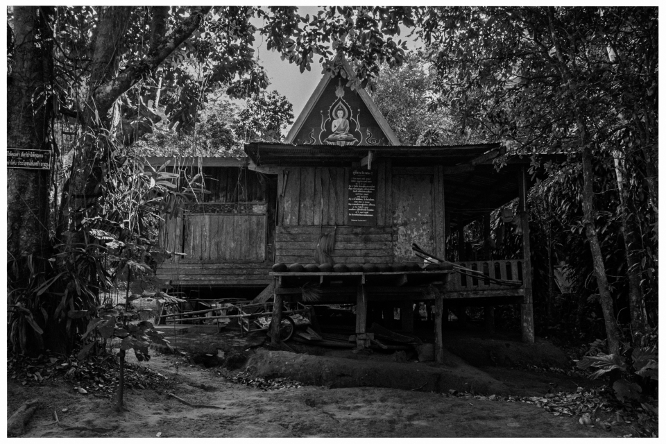 Holzgebäude auf Pfählen im Wald mit Buddhabild, umgeben von dichtem Laub.