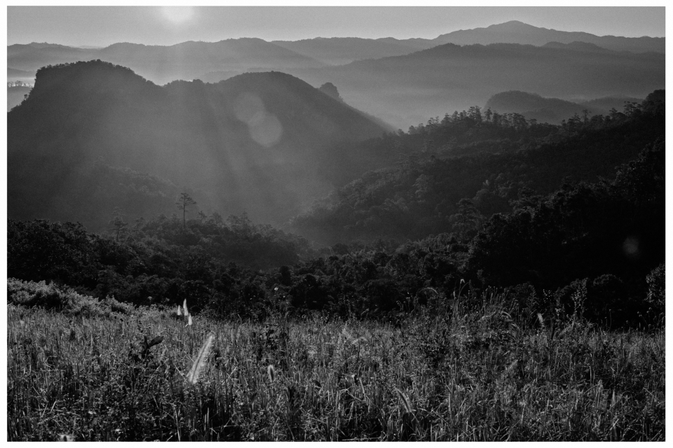 Hügelige Waldlandschaft bei Sonnenaufgang, Schwarzweiß, Wiese im Vordergrund, Lichtstrahlen.