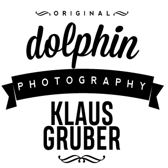 Klaus Gruber | dolphin photography - Fotograf in Fürth
