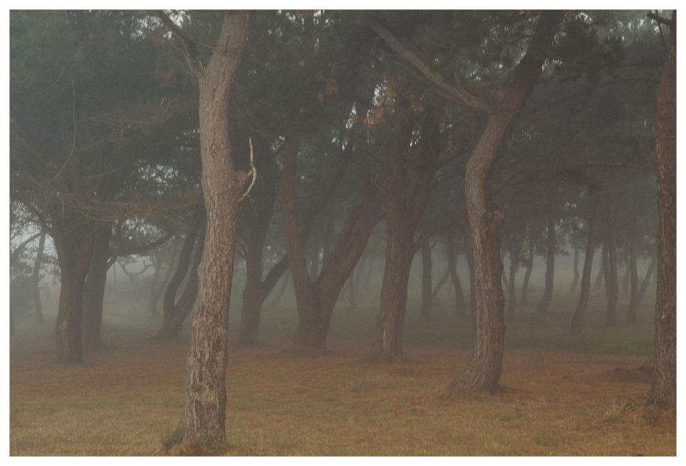 Fotograf Fürth - Reisefotografie - Bretagne