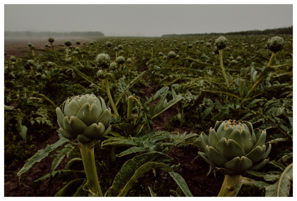 Fotograf Fürth - Reisefotografie - Bretagne