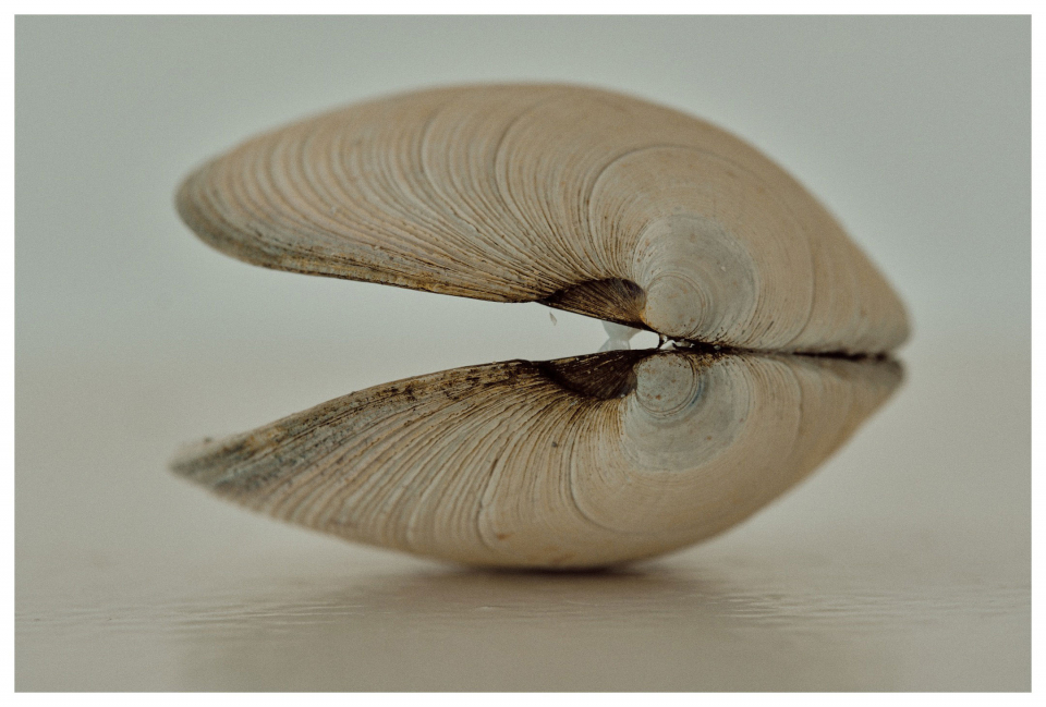 Fotograf Fürth - Reisefotografie - Bretagne